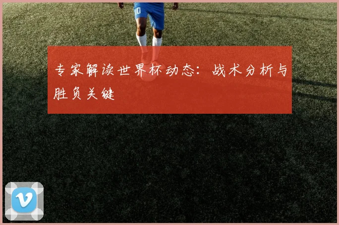 专家解读世界杯动态:战术分析与胜负关键