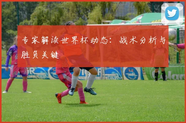 专家解读世界杯动态：战术分析与胜负关键