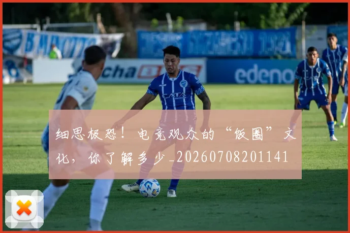 细思极恐！电竞观众的“饭圈”文化，你了解多少_20260708201141